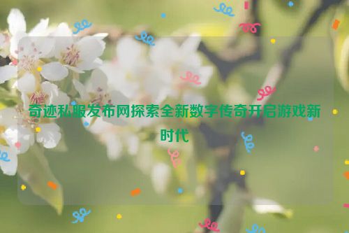 奇迹私服发布网探索全新数字传奇开启游戏新时代