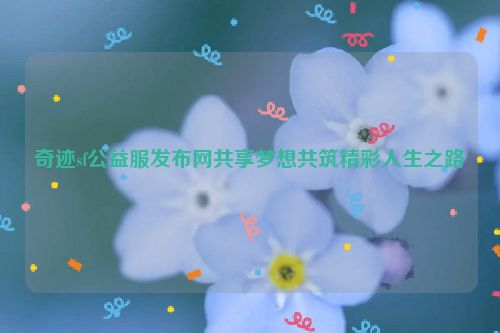 奇迹sf公益服发布网共享梦想共筑精彩人生之路