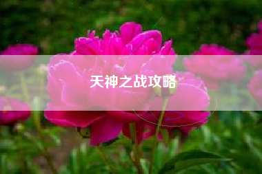 天神之战攻略