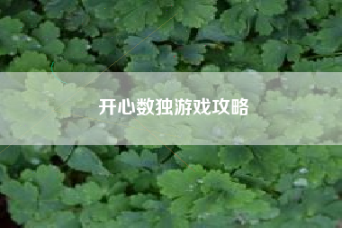 开心数独游戏攻略