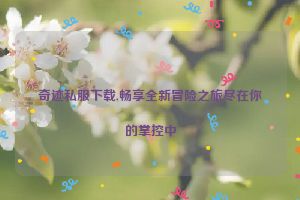 奇迹私服下载,畅享全新冒险之旅尽在你的掌控中