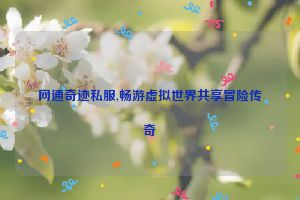 网通奇迹私服,畅游虚拟世界共享冒险传奇