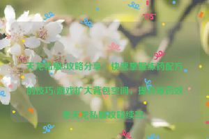 天龙私服3攻略分享：快速掌握练药配方的技巧(游戏扩大背包空间，提升炼药效率天龙私服攻略续写)