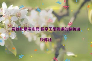 奇迹私服发布网,畅享无限刺激的独特游戏体验