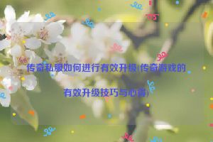 传奇私服如何进行有效升级(传奇游戏的有效升级技巧与心得)