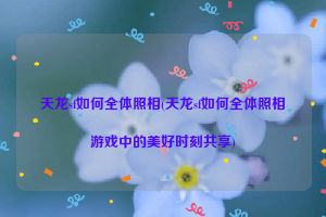 天龙sf如何全体照相(天龙sf如何全体照相游戏中的美好时刻共享)