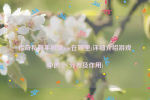 传奇私服手机版npc在哪里(详细介绍游戏中的NPC分布及作用)