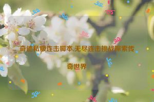 奇迹私服连击脚本,无尽连击挑战探索传奇世界