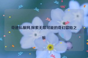 奇迹私服网,探索无限可能的奇幻冒险之旅