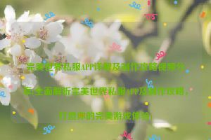 完美世界私服APP详解及制作攻略视频分享(全面解析完美世界私服APP及制作攻略，打造你的完美游戏体验)