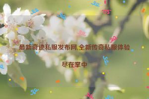 最新奇迹私服发布网,全新传奇私服体验尽在掌中