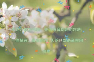 天龙八部发布网：关闭语音功能的方法(一键禁言，解放游戏  天龙八部语音禁用攻略)