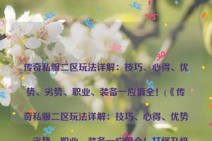 传奇私服二区玩法详解：技巧、心得、优势、劣势、职业、装备一应俱全！(《传奇私服二区玩法详解：技巧、心得、优势、劣势、职业、装备一应俱全！打怪升级必看指南!)