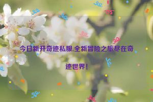 今日新开奇迹私服,全新冒险之旅尽在奇迹世界！