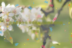 奇迹私服外挂,传奇私服自由探索游戏新体验