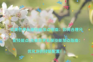 完美世界私服技能加点指南：如何合理分配技能点(完美世界私服技能加点指南：优化你的技能配置！)