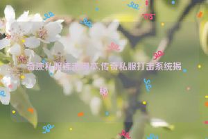 奇迹私服连击脚本,传奇私服打击系统揭秘