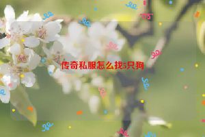 传奇私服怎么找5只狗