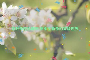 新开奇迹私服网,探索全新奇幻冒险世界