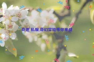 奇迹 私服,奇幻冒险等你来战