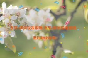 天龙sf如何设置跟随(天龙sf如何设置跟随 - 提升游戏效率)