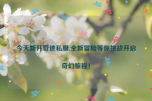 今天新开奇迹私服,全新冒险等你挑战开启奇幻旅程！