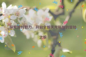 探索独特魅力，开启全新天龙私服的冒险之旅