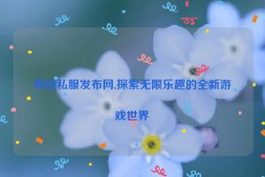 奇迹私服发布网,探索无限乐趣的全新游戏世界