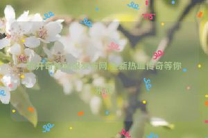 新开奇迹私服发布网,全新热血传奇等你来战