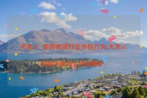 天龙sf：如何有效打击外挂行为(天龙sf：游戏平衡与公平的维护)