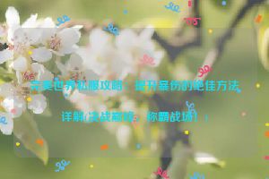 完美世界私服攻略：提升暴伤的绝佳方法详解(决战巅峰，称霸战场！)