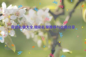 奇迹私服大全,精彩私服推荐与攻略分享