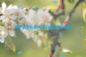 变态奇迹私服网,奇幻冒险等你来战