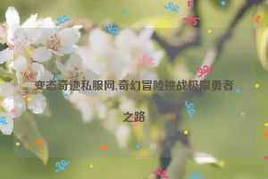 变态奇迹私服网,奇幻冒险挑战极限勇者之路