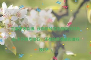 完美世界私服- 获得称号宝石的技巧与方法(不只称号宝石，还有这些隐藏的游戏技巧！)