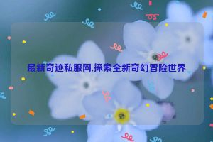 最新奇迹私服网,探索全新奇幻冒险世界