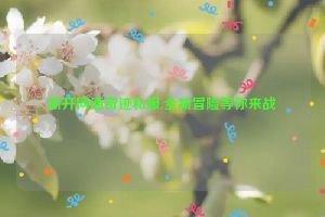 新开网通奇迹私服,全新冒险等你来战