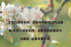 天龙八部发布网：获取布料的有效方法解析(天龙八部发布网：获取布料的有效方法解析  必备攻略分享)