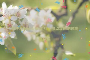 奇迹私服战士加点,战士加点攻略助你制胜战场