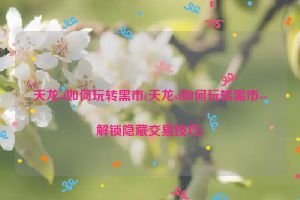 天龙sf如何玩转黑市(天龙sf如何玩转黑市--解锁隐藏交易技巧)