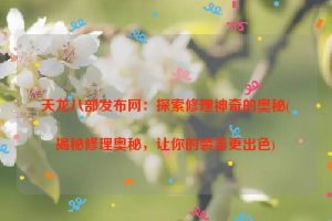 天龙八部发布网：探索修理神奇的奥秘(揭秘修理奥秘，让你的装备更出色)