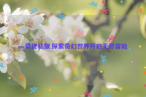 mu奇迹私服,探索奇幻世界开启无尽冒险