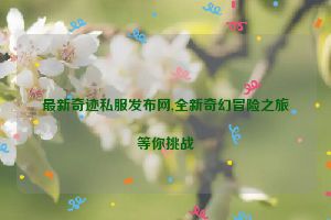 最新奇迹私服发布网,全新奇幻冒险之旅等你挑战