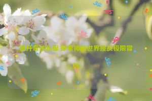 新开奇迹私服,探索神秘世界挑战极限冒险