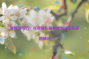 策略与技巧：在奇迹私服中成为顶尖玩家的秘诀