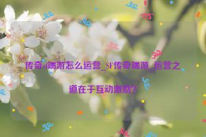 传奇sf端游怎么运营_SF传奇端游_运营之道在于互动激励？